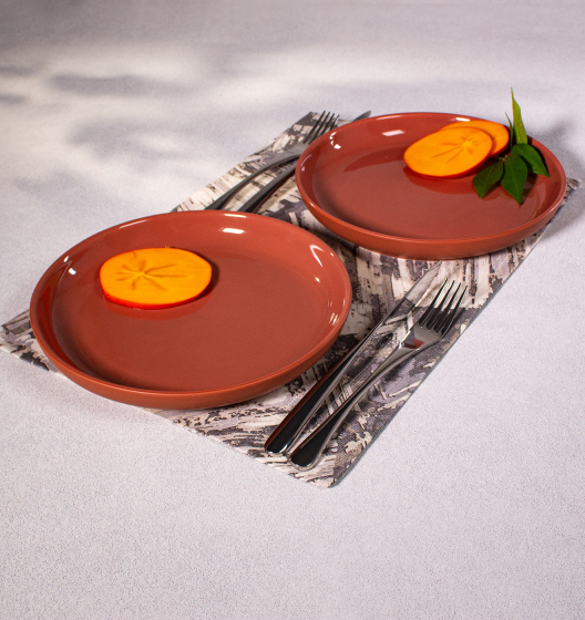 PATIO dinner plates (terracotta)